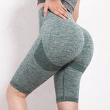 Seamless Yoga Shorts for Women