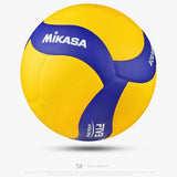 Professional Game Volleyball