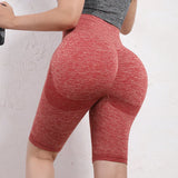 Seamless Yoga Shorts for Women