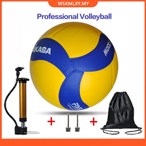 Professional Game Volleyball