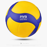 Professional Game Volleyball