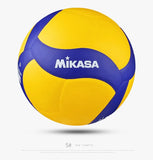 Professional Game Volleyball