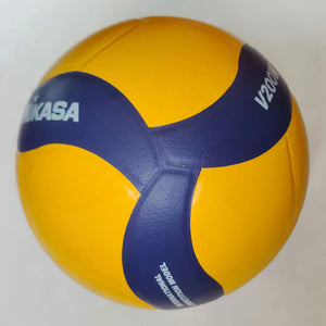 Professional Game Volleyball