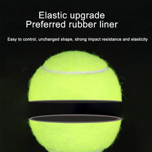 Tennis Balls with Mesh Carry Bag